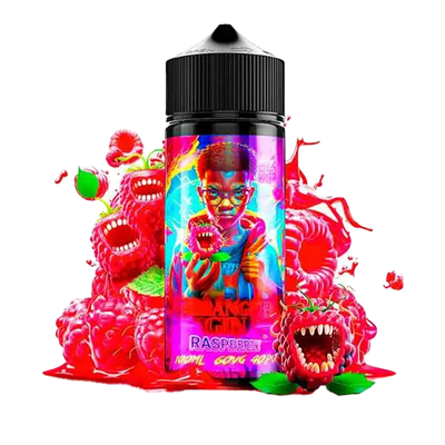 Stranger Gins Gin Raspberry - Oil4vap 120ml