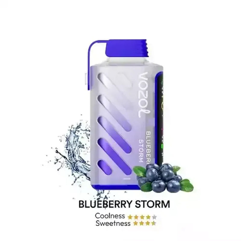 Vozol Gear 20000 Puffs - BlueBerry Storm - 5%