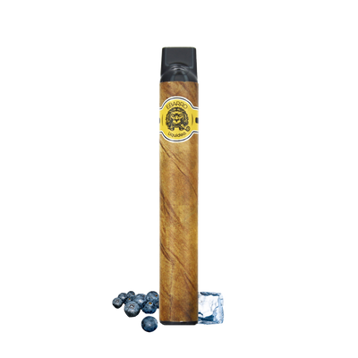 Liquideo Ebarro 2000 Taffs - Myrtille Glacé (2%)