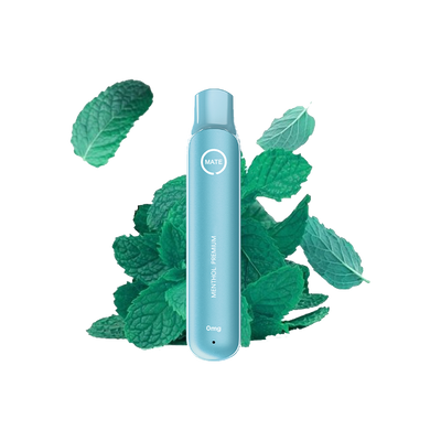 Flawoor 600puffs Menthol premium