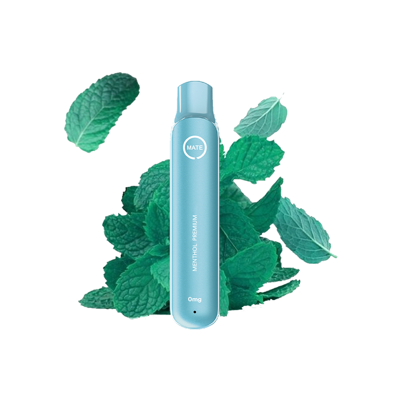 Flawoor 600puffs Menthol premium