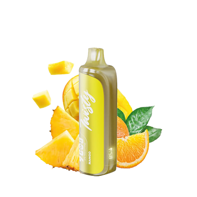 Twisty 9000 Puffs - Mango  - 2% / 5%