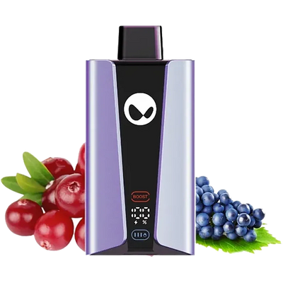 Waka - soPro 28000 -  Blueberry Raspberry - 5%