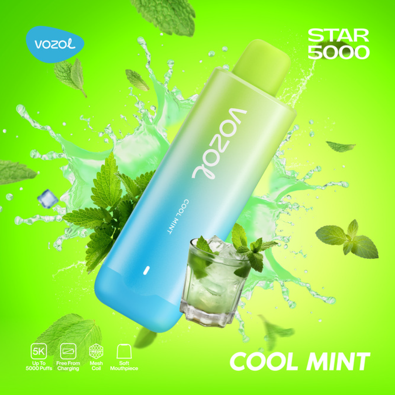 Vozol Star 5000 Puffs - Cool Mint - 5%